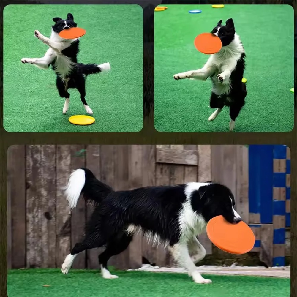 Flying Disc Dog Training Toy - قرص طائر للكلاب من مادة TPR،