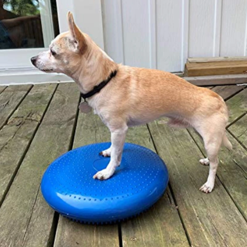 Flying Disc Dog Training Toy - صحن طائر متوازن للحيوانات الأليفة ،