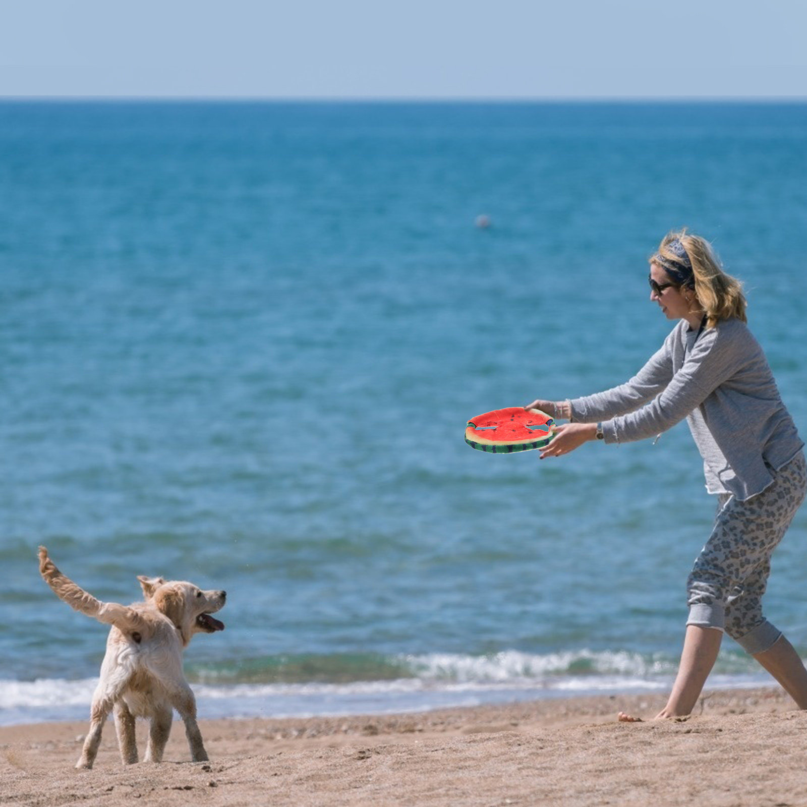 Flying Disc Dog Training Toy - 1 قطعة لعبة قرص طائر على