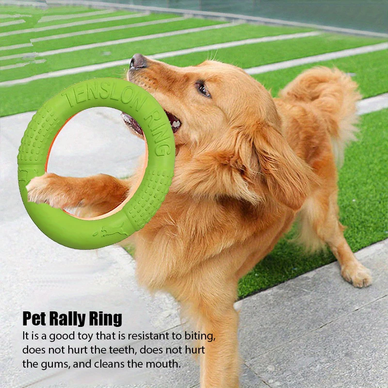 لعبة حيوانات أليفة بقرص طائر خ - مراجعة Flying Disc Dog Training Toy وسعره