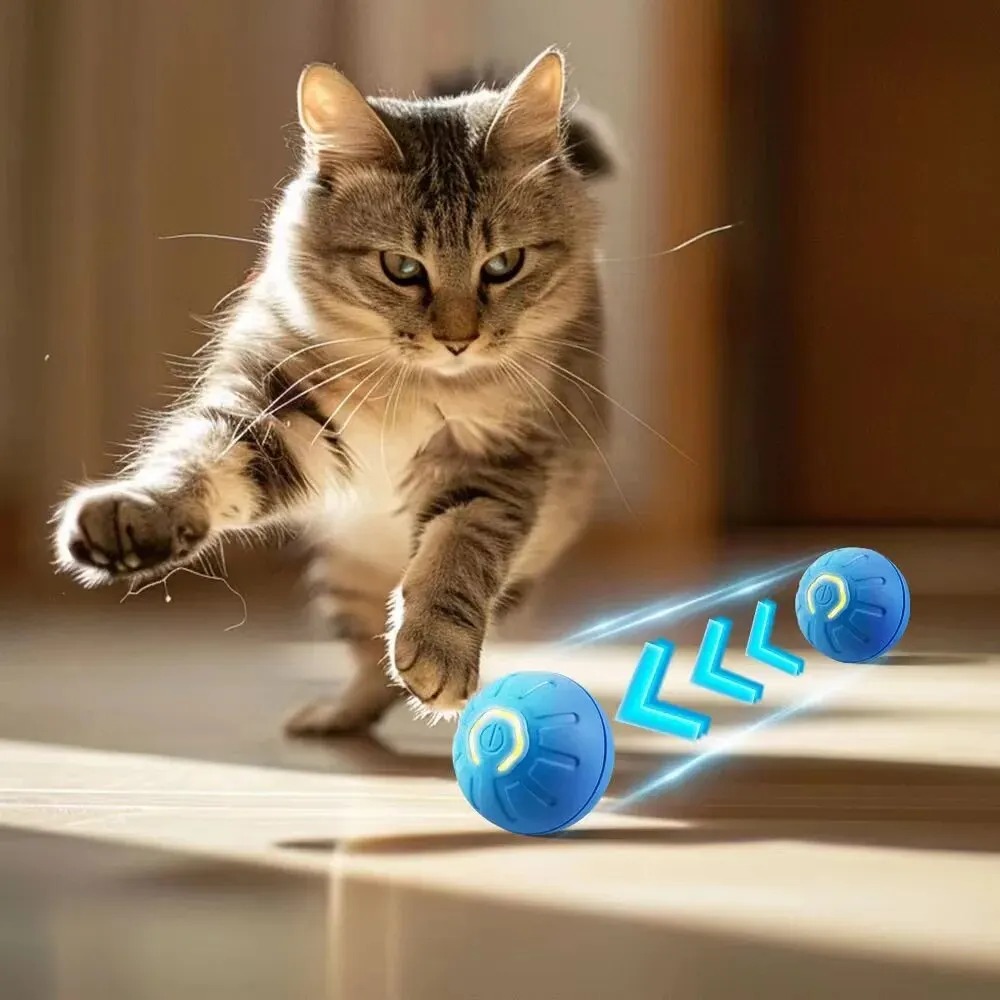 جديد 1 قطعة التلقائي تتحرك لعب - مراجعة Automatic Moving Dog Ball وسعره