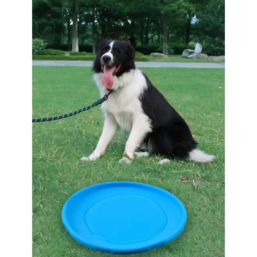 قرص طائر للكلاب من مادة TPR، ل - مراجعة Flying Disc Dog Training Toy وسعره