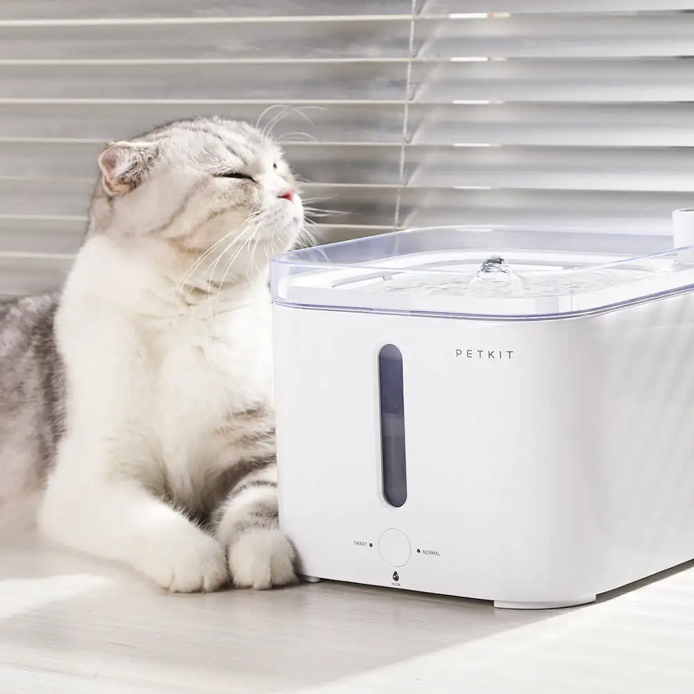 نافورة مياه ذكية للحيوانات الأ - مراجعة Pet Feeders وسعره