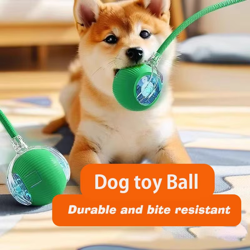 لعبة كرة تفاعلية جديدة للكلاب، - مراجعة Automatic Moving Dog Ball وسعره
