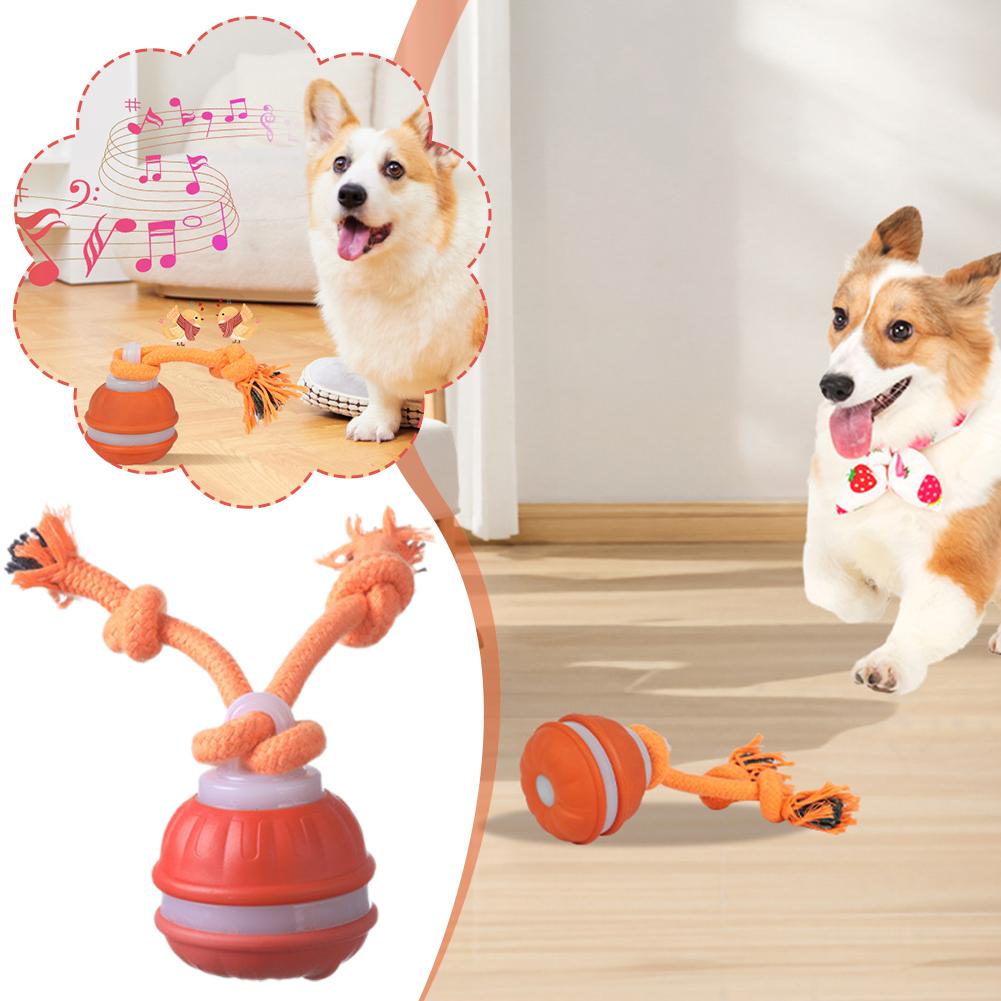 الذكية قابلة للشحن الكلب الكرة - مراجعة Automatic Moving Dog Ball وسعره
