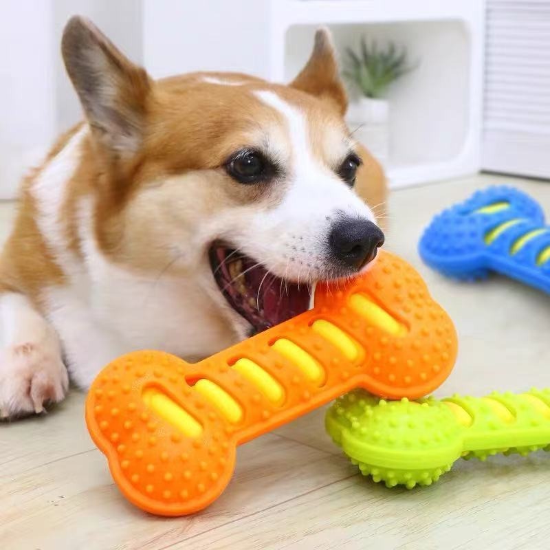 عصا مطاطية على شكل عظم للكلاب، - مراجعة Teeth Cleaning Dog Chew Bone وسعره