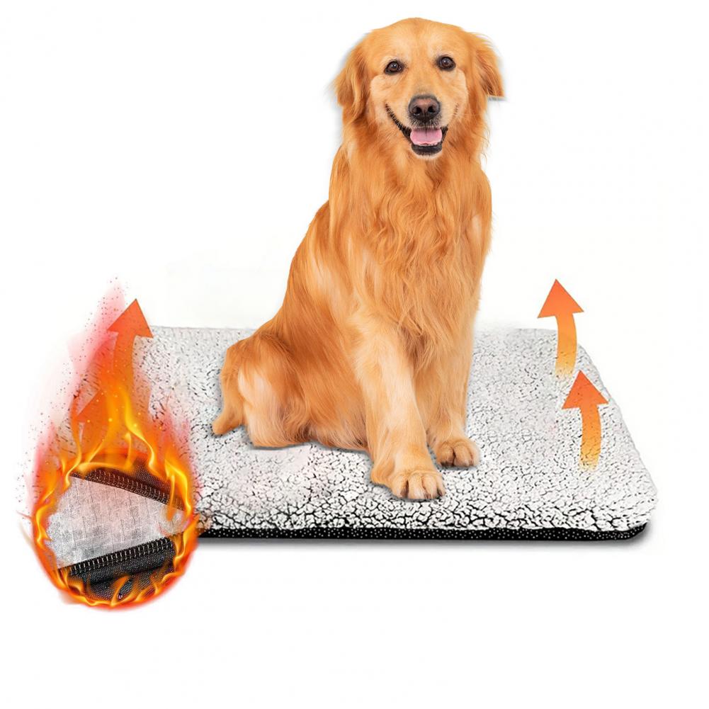 دافئ الكلب حصيرة لا الكهرباء ا - مراجعة Pet Beds وسعره