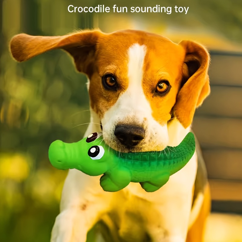 لعبة مضغ متينة من اللاتكس للكل - مراجعة Indestructible Dog Chew Toy وسعره