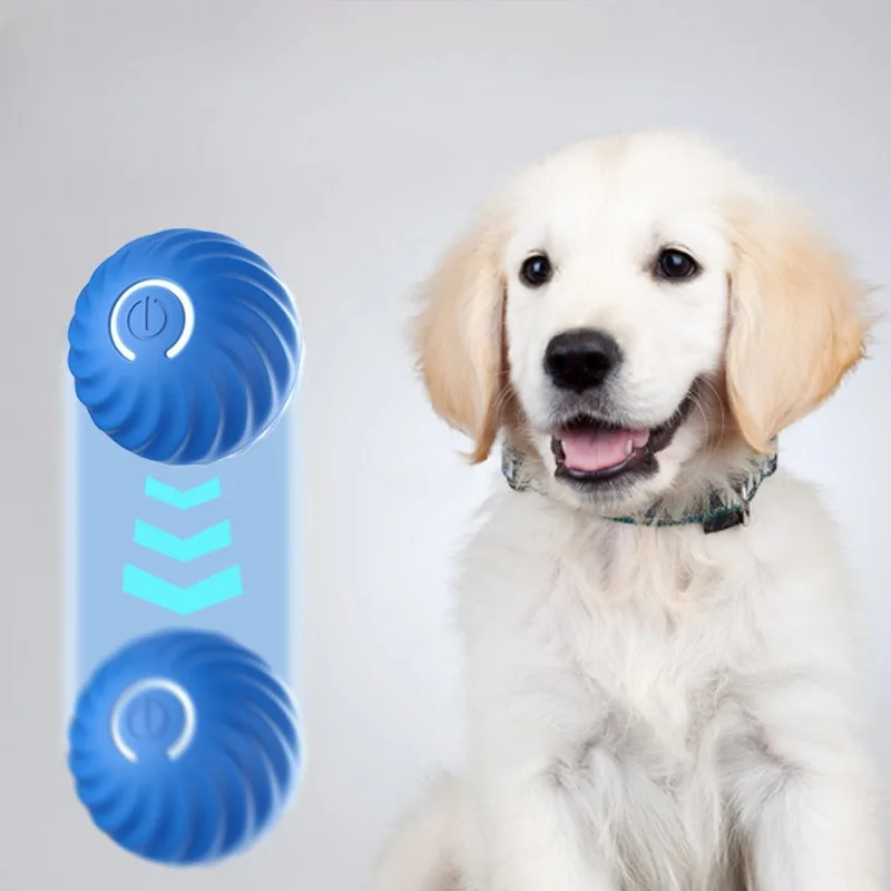 كرة لعبة للحيوانات الأليفة من  - مراجعة Automatic Moving Dog Ball وسعره