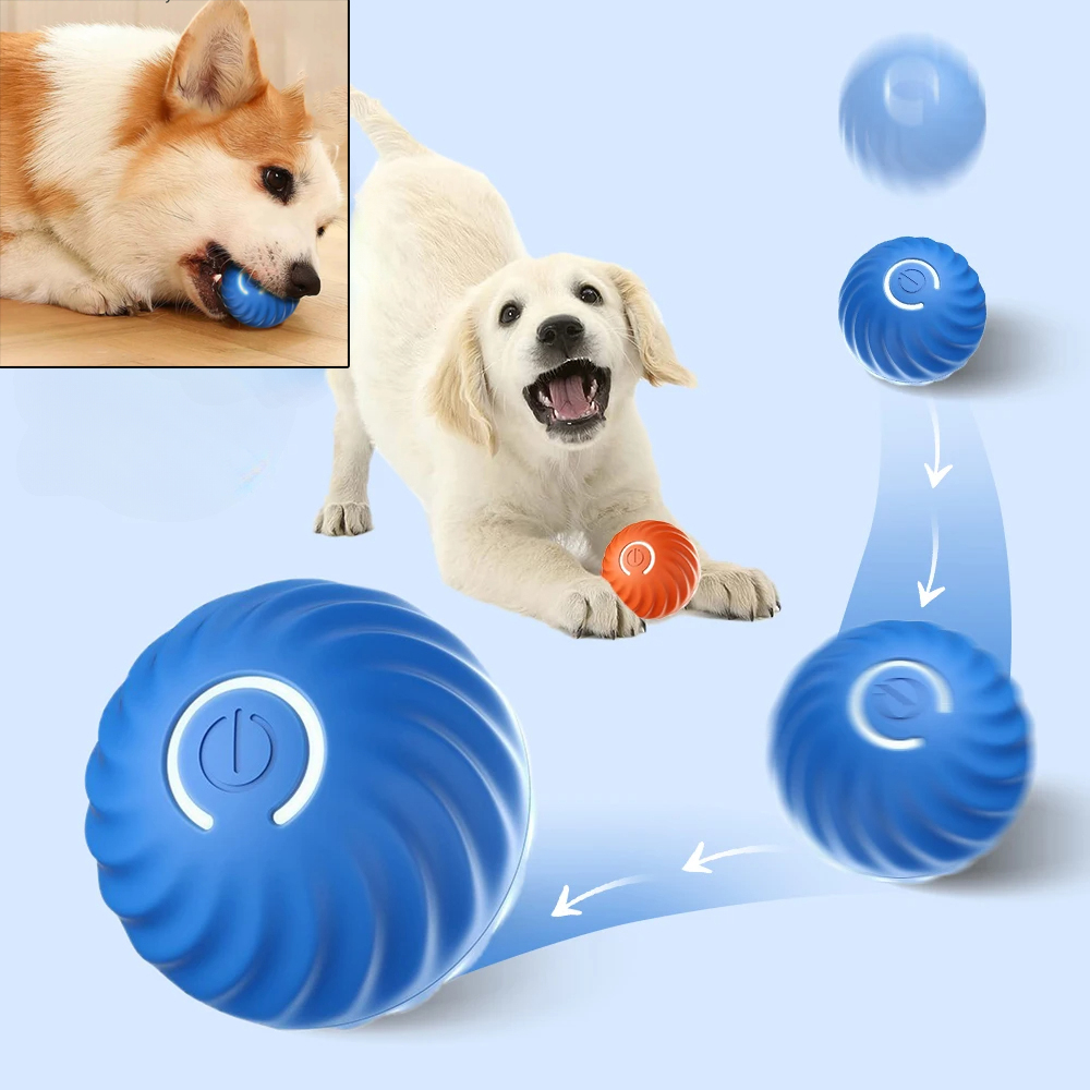 كرة لعبة للكلاب تتحرك تلقائيًا - مراجعة Suction Cup Dog Tug Toy وسعره