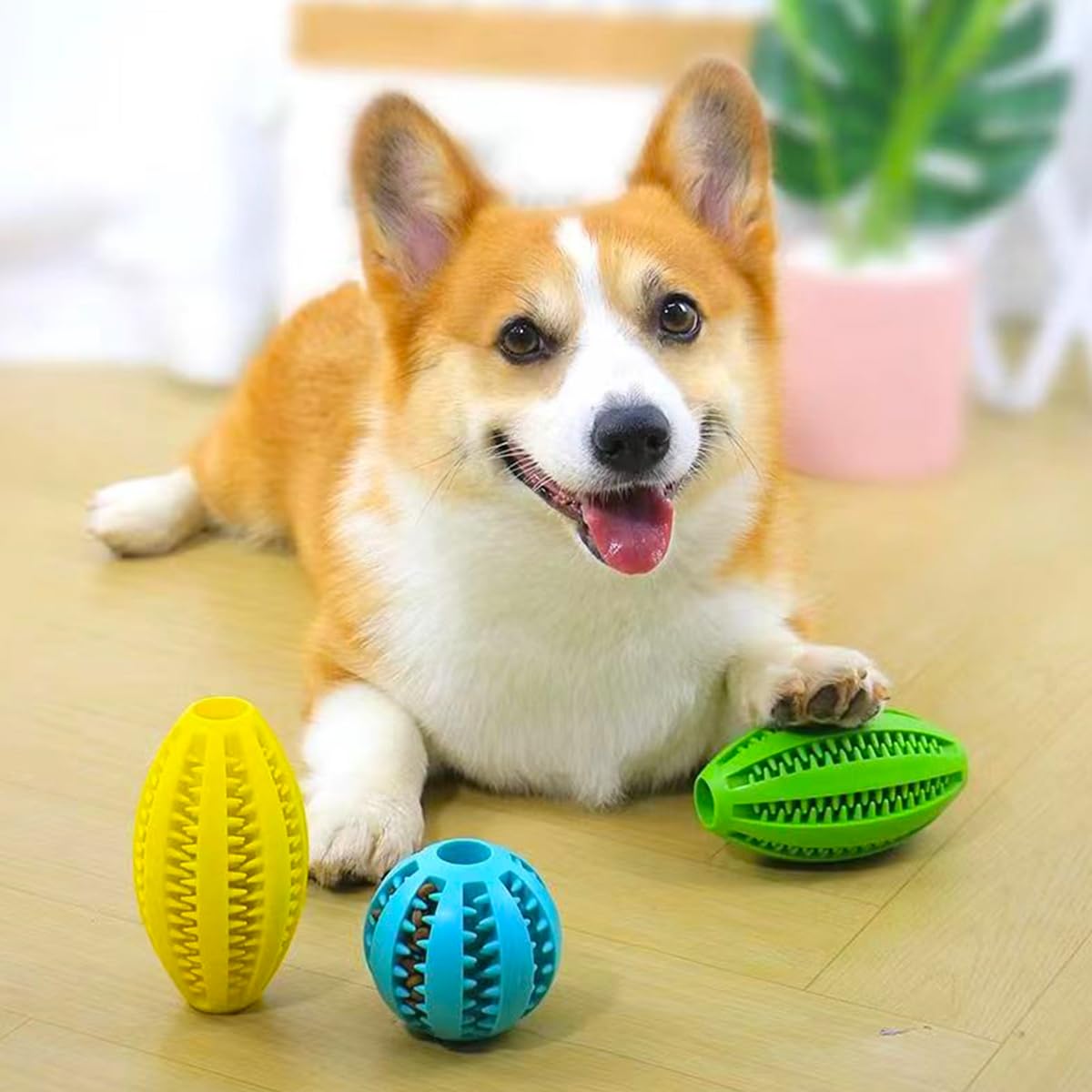 كلب مضغ اللعب تنظيف الأسنان وج - مراجعة Indestructible Dog Chew Toy وسعره