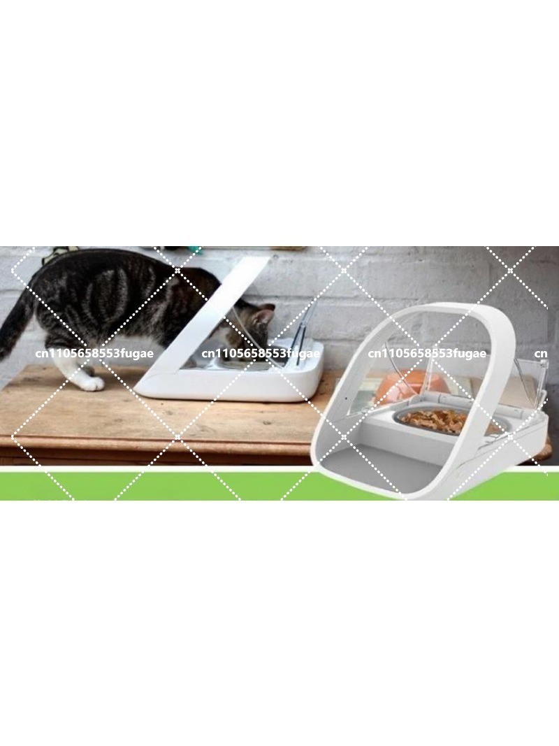 وعاء طعام أوتوماتيكي جديد متعد - مراجعة Pet Feeders وسعره