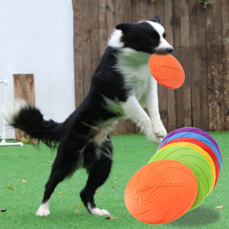 لعبة الصحن الطائر من السيليكون - مراجعة Flying Disc Dog Training Toy وسعره
