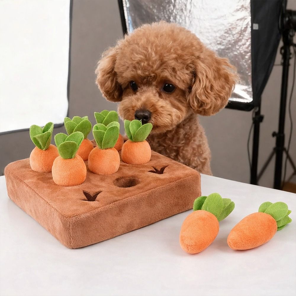 بساط تسلية للحيوانات الأليفة ع - مراجعة Dog Puzzle Feeder Toy وسعره