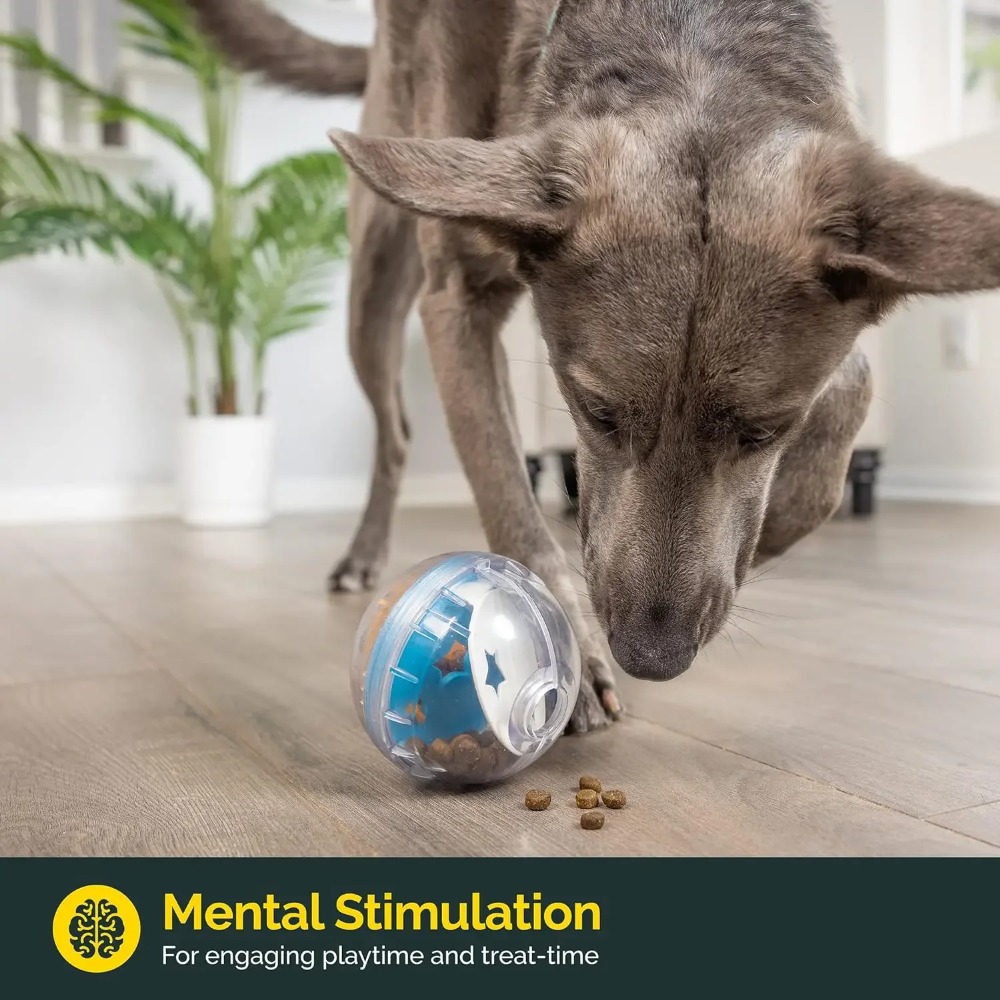 كرة IQ Treat Ball لتوزيع المكا - مراجعة Dog Puzzle Feeder Toy وسعره
